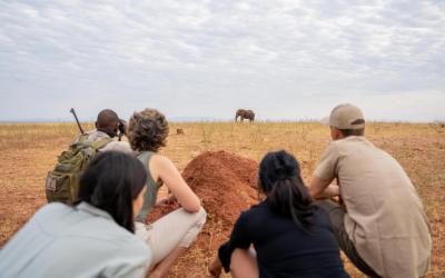 Zimbabwe | Matusadona NP - Bush Walk