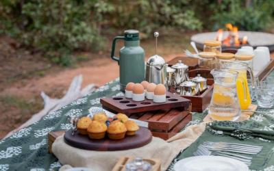Zimbabwe | Early bird breakfast