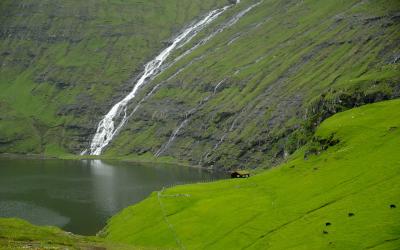 faroe 2