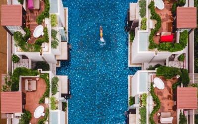 birds eye
