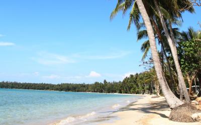 beach