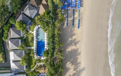AA OVERVIEW4