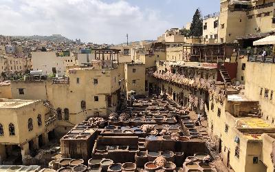Fez - koželužny | IMG_0621