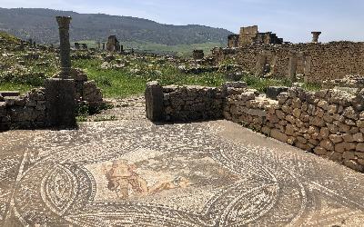 Volubilis | IMG_0584