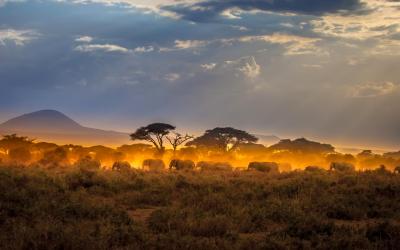 Amboseli National Park | Keňa