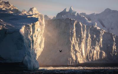 Jason C. Hill - Visit Greenland