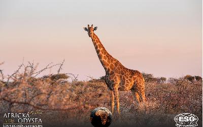 AfrickaOdysea2026_57