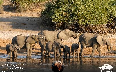 AfrickaOdysea2026_66