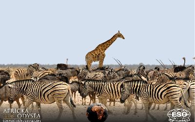 AfrickaOdysea2026_77