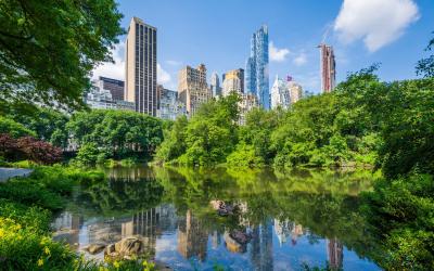 Central Park | New York