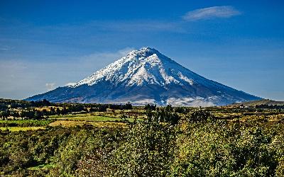 AdobeStock_205104017