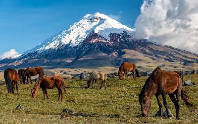 cotopaxi 1