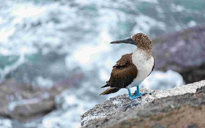 pexels-diego-f-parra-33199-18518184