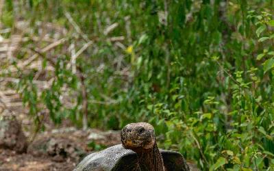 pexels-diego-f-parra-33199-18778338