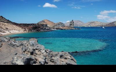 galapagos-2451090_1280