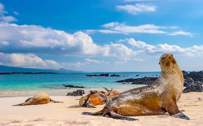 2020_03_25_90593_1585104687._large