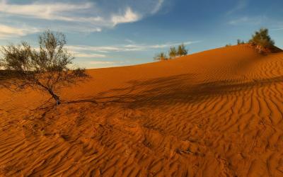 Poušť Kyzyl Kum | Uzbekistán