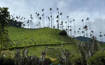 WhatsApp Image 2026-04-27 at 16.13.57 (4)