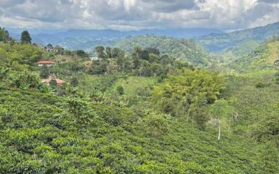 WhatsApp Image 2026-04-27 at 16.13.57 (6)