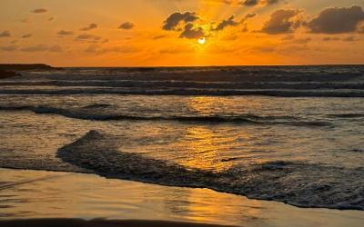 WhatsApp Image 2026-04-27 at 16.14.00