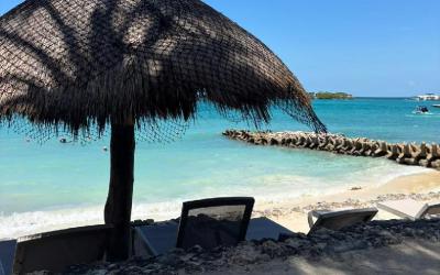 WhatsApp Image 2026-04-27 at 16.14.03