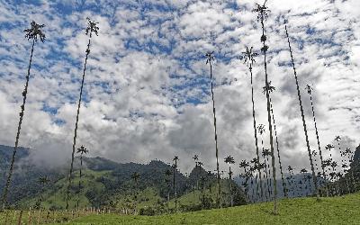 colombia-4909303_1920