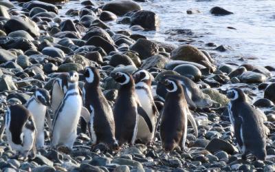 WhatsApp Image 2026-04-28 at 11.59.08 (1)