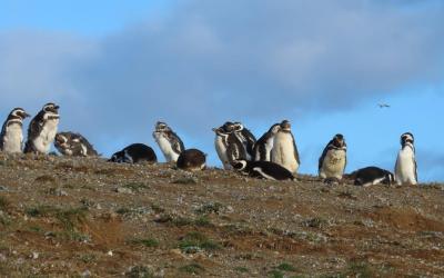 WhatsApp Image 2026-04-28 at 11.59.08 (3)