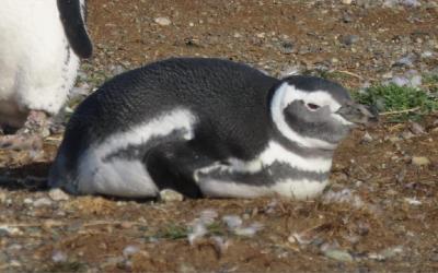 WhatsApp Image 2026-04-28 at 11.59.08 (5)