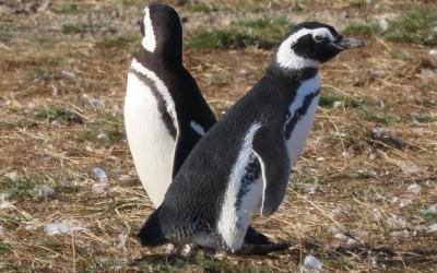 WhatsApp Image 2026-04-28 at 11.59.08 (10)