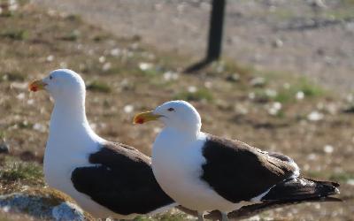 WhatsApp Image 2026-04-28 at 11.59.09 (3)