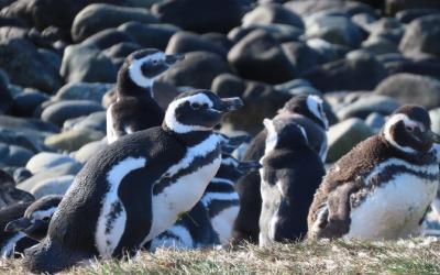 WhatsApp Image 2026-04-28 at 11.59.09 (8)