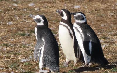 WhatsApp Image 2026-04-28 at 11.59.09 (12)