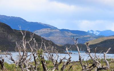 WhatsApp Image 2026-04-28 at 12.00.25 (5)