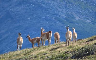 WhatsApp Image 2026-04-28 at 12.00.25 (8)