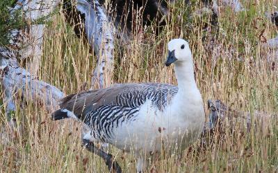 WhatsApp Image 2026-04-28 at 12.00.25 (15) - kopie