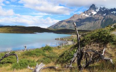 WhatsApp Image 2026-04-28 at 12.00.26 (5) - kopie