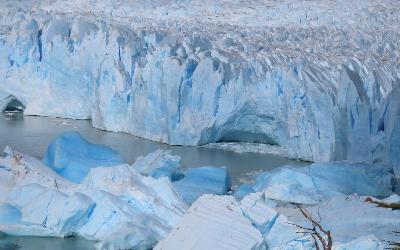 WhatsApp Image 2026-04-28 at 12.01.31 (12)