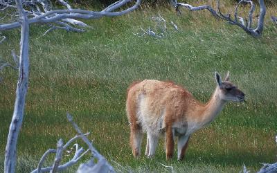 WhatsApp Image 2026-04-28 at 12.00.26 (14) - kopie