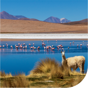 Chile