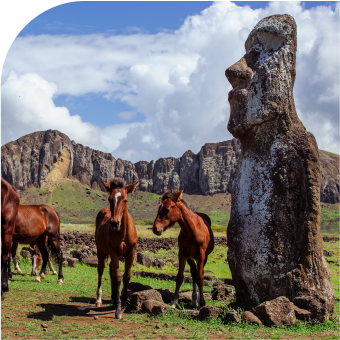 RapaNui