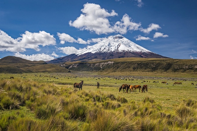 Vulkán Cotopaxi, Ekvádor