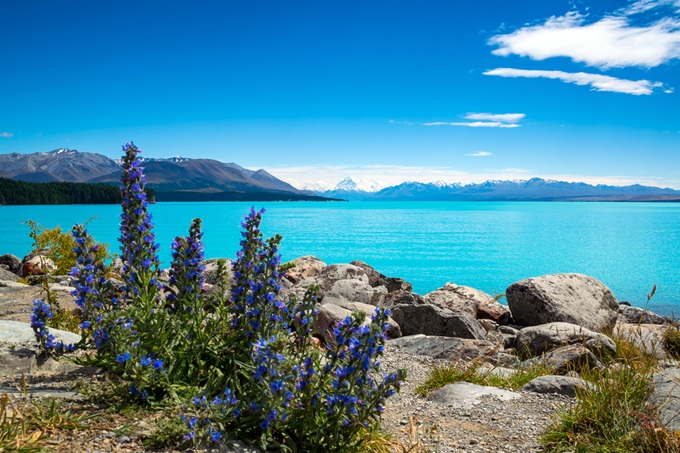 Tyrkysové jezero Tekapo a Jižní Alpy na Jižním ostrově Nového Zélandu