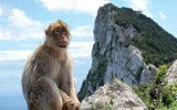 Legendární Gibraltar: Vydejte se k bráně do Evropy, kterou střeží opice bez ocasů