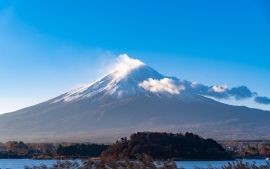 Aokigahara, japonský les sebevrahů: Perfektní místo pro smrt je turistickou atrakcí